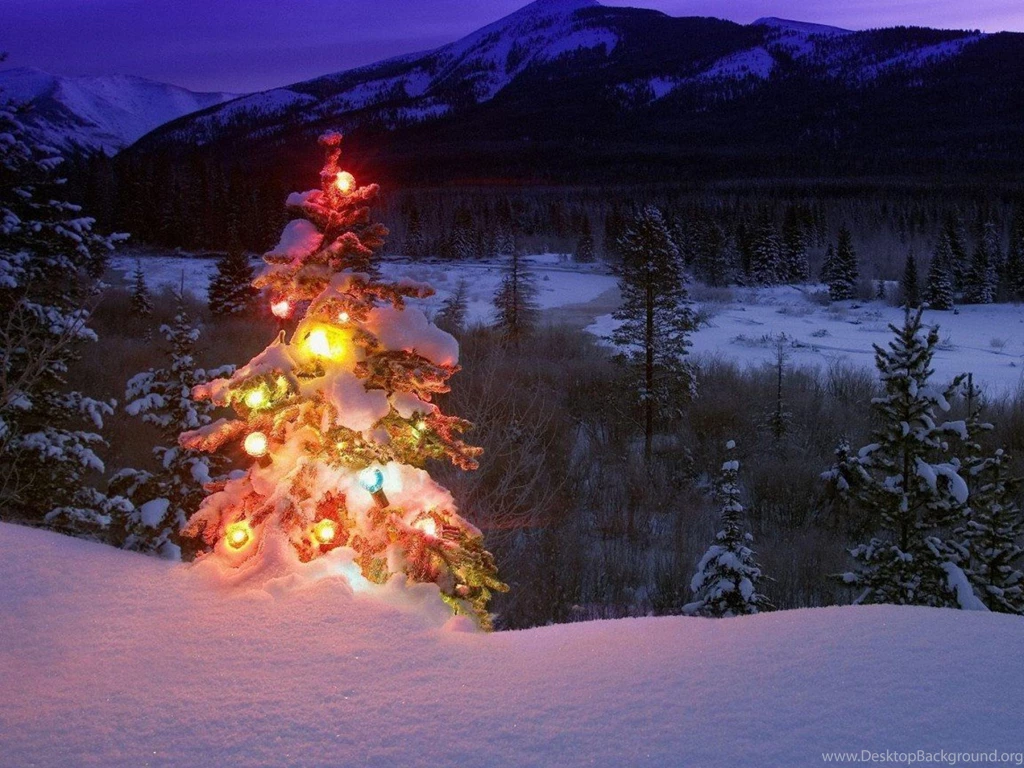 Wallpaper: Holiday, Christmas Tree, Colored Lantern, Snow ...