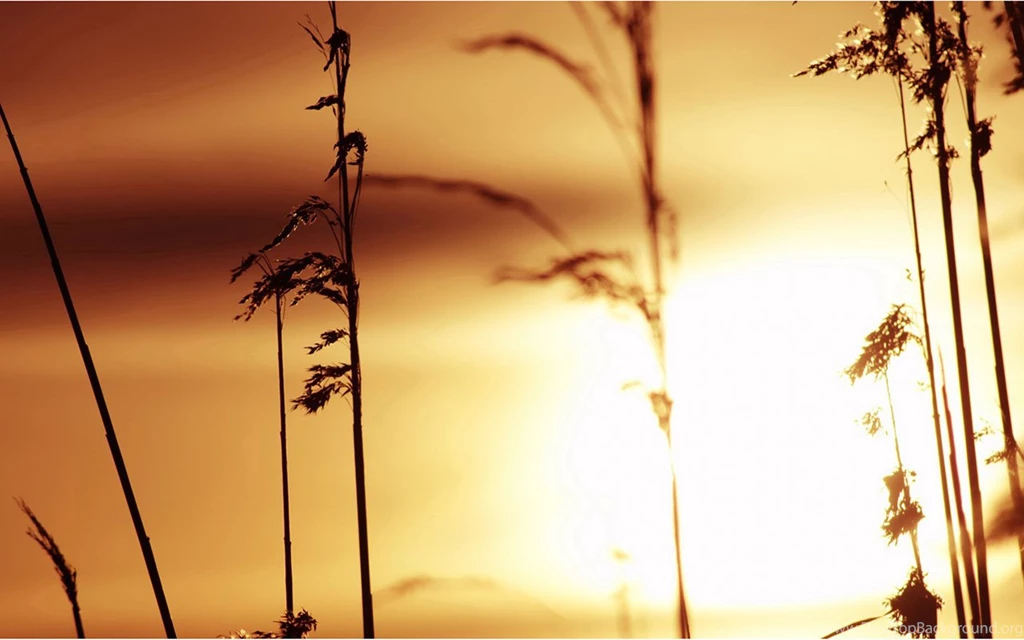 Special Edition Twilight Landscape Wallpapers 7 - Landscape ...