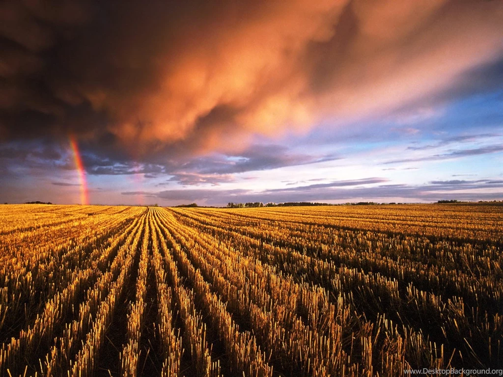 Desktop Wallpapers · Gallery · Nature · Autumn Rainbow
