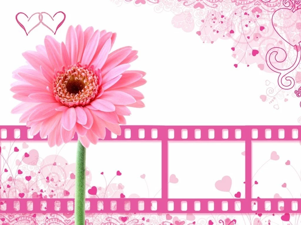 Pink Backgrounds 980 Awesome Images