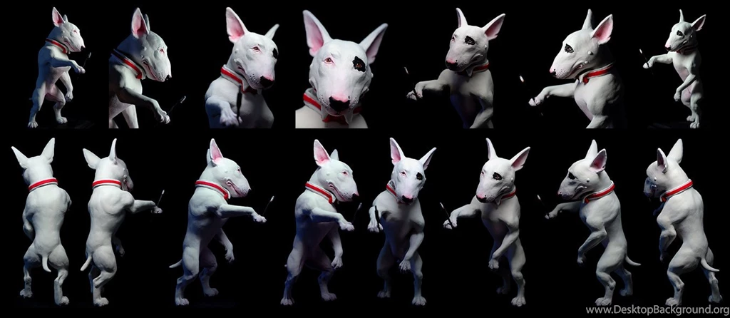 Bull Terrier By Rgyoung777 By BulliesOnParade On DeviantArt