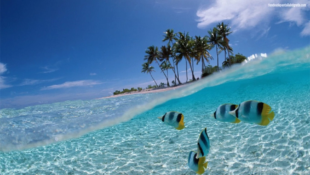 Wallpapers Wallpapers 1360x768 Fondos De Pantalla Wallpapers ...
