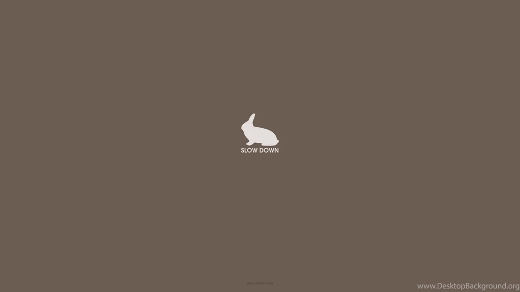 Kanelstrand: December 2011