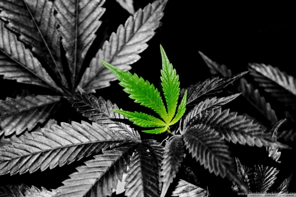 Weed HD Wallpapers In Color HD Desktop Wallpapers : Widescreen ...