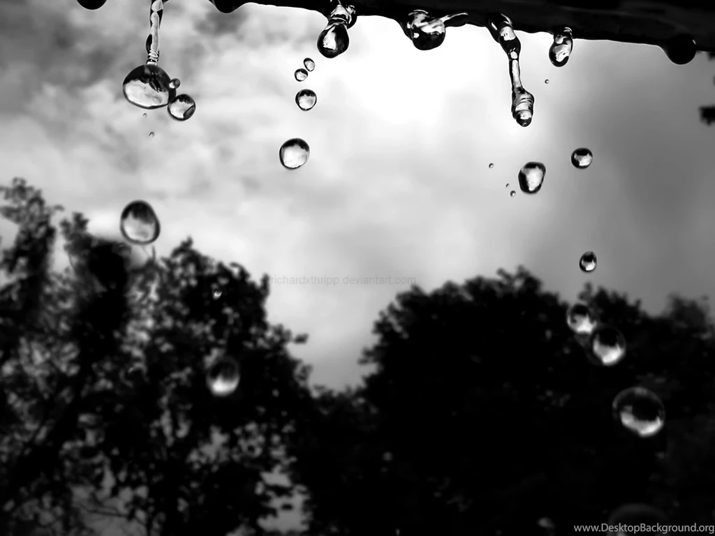 Raindrops Falling Free Desktop Backgrounds Wallpapers