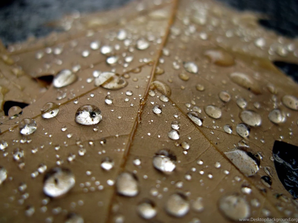 Raindrop Backgrounds Wallpapers Cave