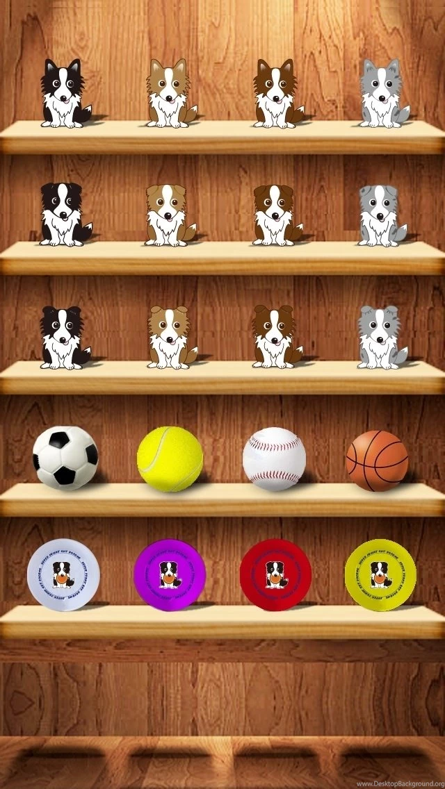 Shelf