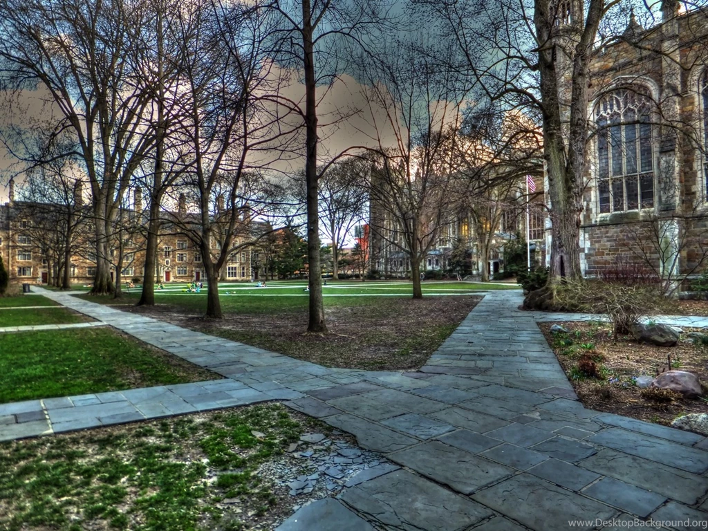 Wallpapers USA Michigan University Of Michigan Law School ...