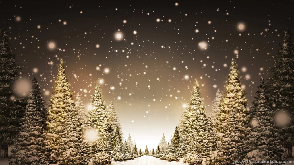 Download 1920x1080 Snowy Pine Trees In Snowflakes Wallpapers