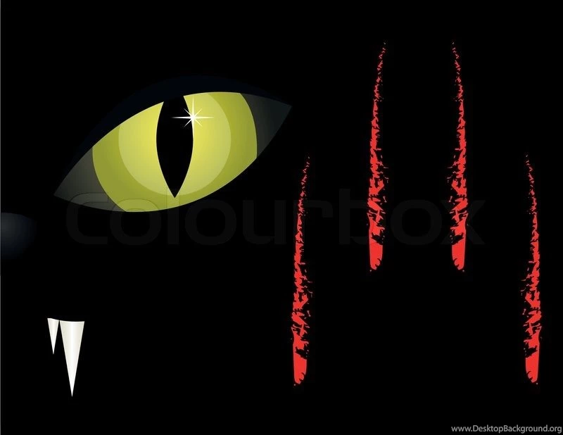 Cat's Eyes In The Halloween Black Backgrounds