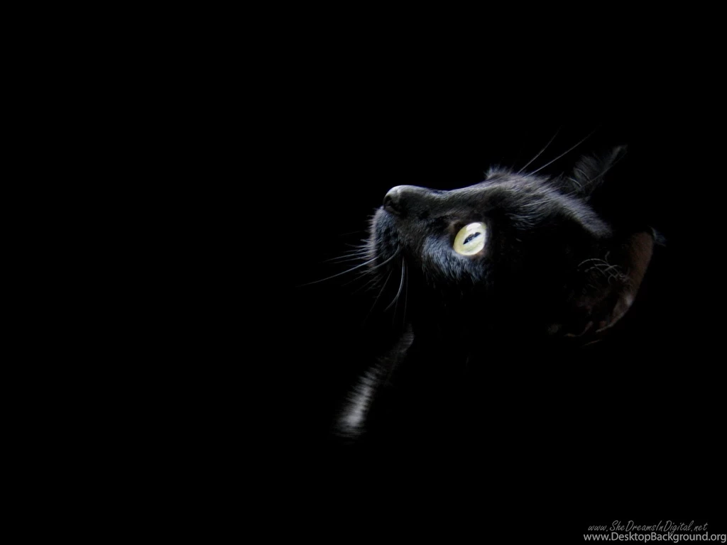 Trick Or Treat.: Halloween Colours.