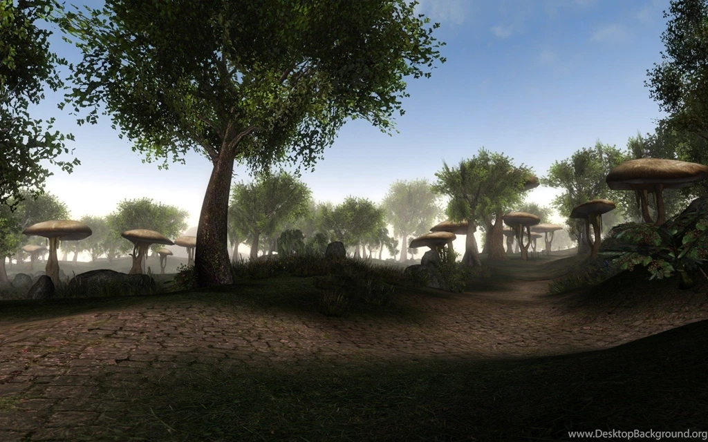 Download Morrowind Wallpapers 1024x768