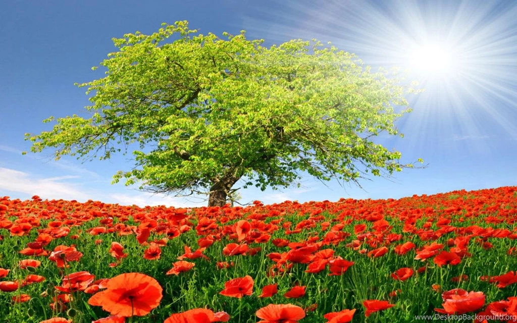 Green Tree (