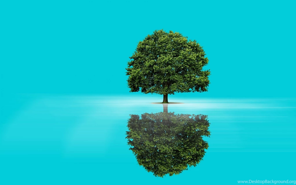 Green Tree & Aqua Lake Reflect Wallpapers
