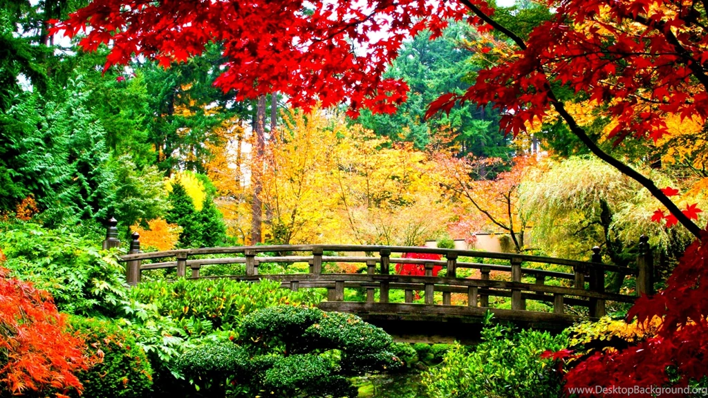 Beautiful Fall Photos