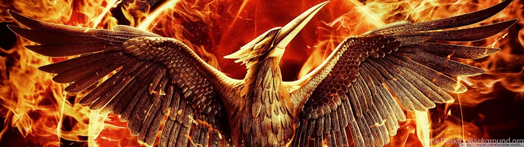 The Hunger Games Mockingjay Part 1 HD Desktop Wallpapers : High ...