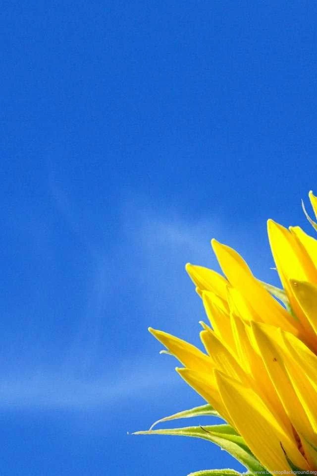 High Quality Mobile Wallpapers Wallpapers Zone