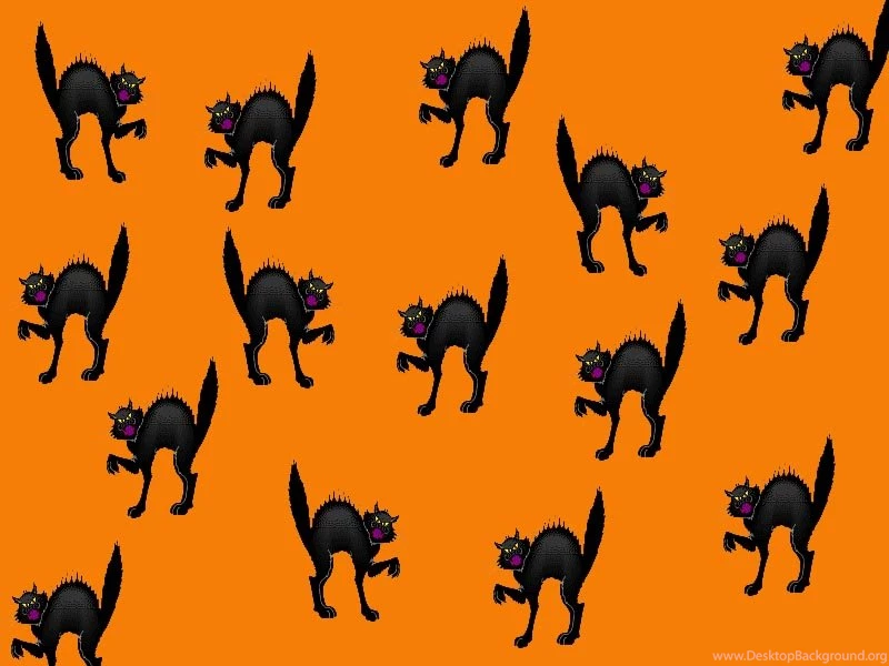 Halloween Wallpapers 592 HD Wallpapers