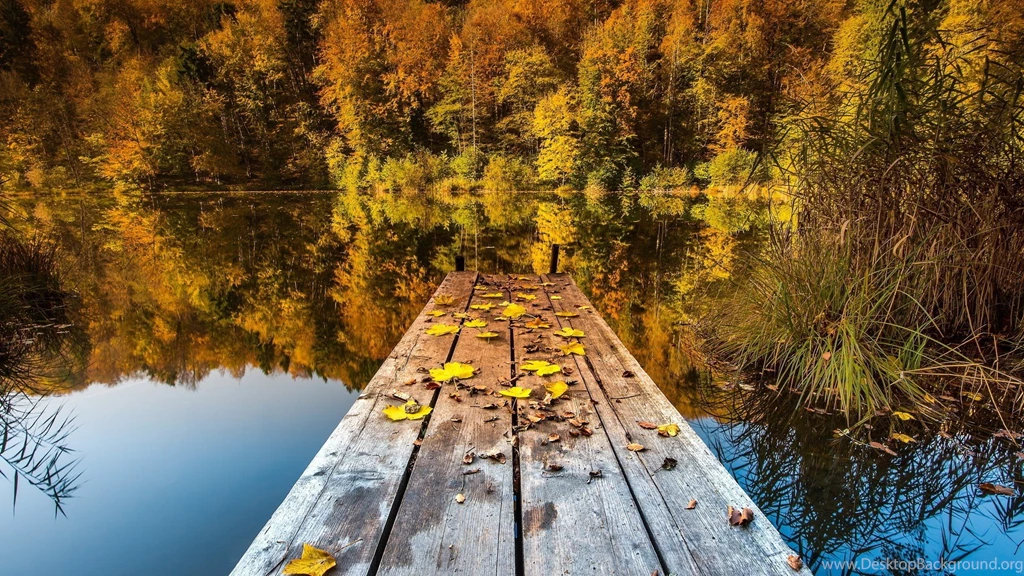 Yellow Leaves On The Bridge Wallpapers And Images Wallpapers ...