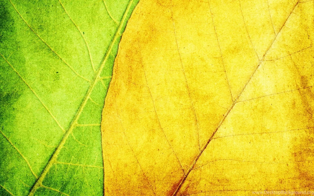 Texture Leaves Yellow Green Desktop Wallpapers Download Texture ...