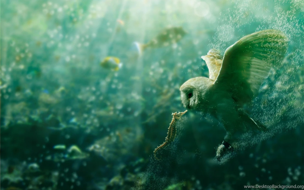 Water, Bubbles, Fantasy Art, Owls, Artwork, Underwater, Sea Horse ...
