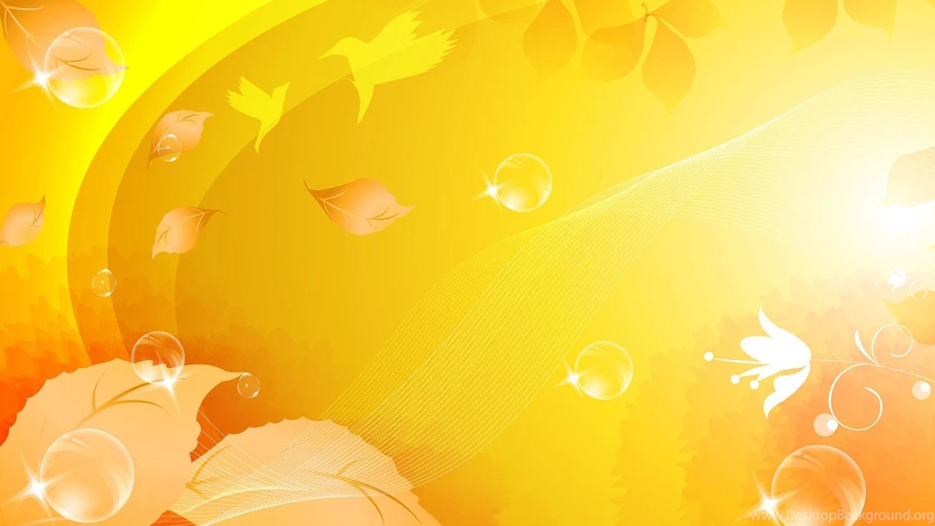 Rare Birds Wallpapers Related Keywords & Suggestions Rare Birds ...