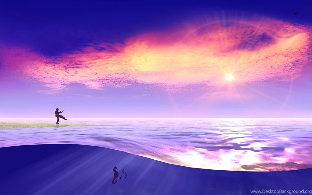 Love U Wallpapers: Seahorse Pictures