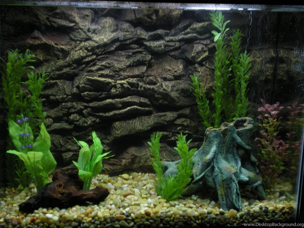 Aquarium Wallpapers HD Resolution Ndemok.com