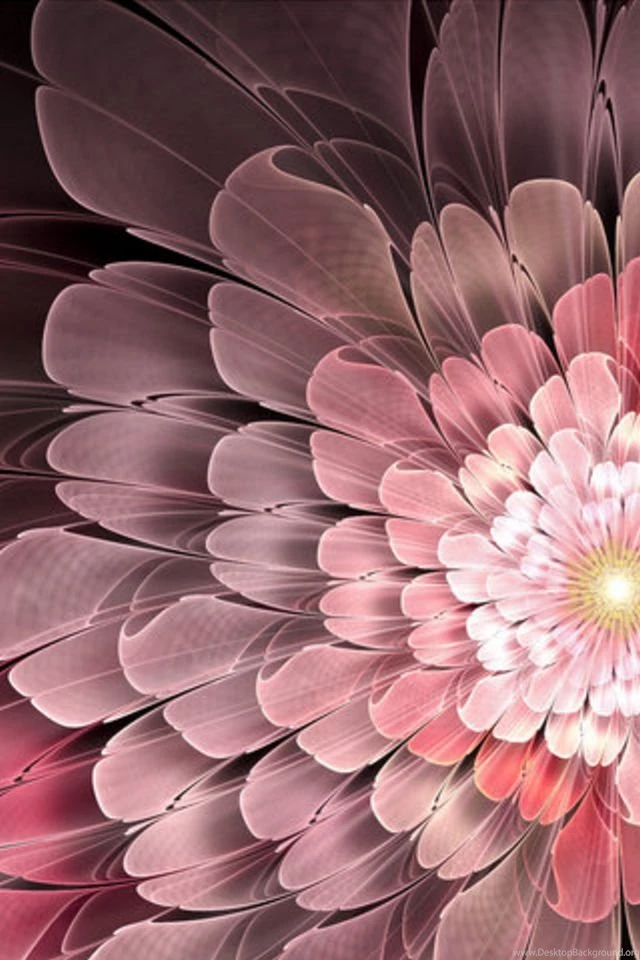 Abstract Flower Wallpapers