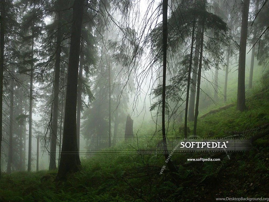 Softpedia Wallpapers Pack 7 Download