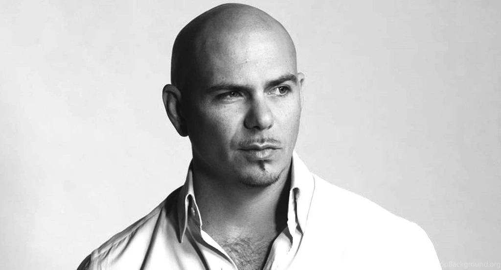 Pitbull HD Pictures
