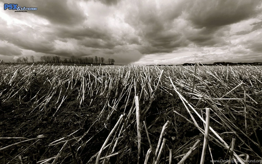 Dramatic Wallpapers