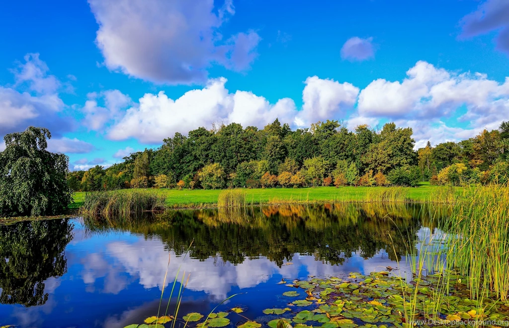 Finland Pond Wood Reeds Clouds Reflection Autumn Fall Wallpapers ...
