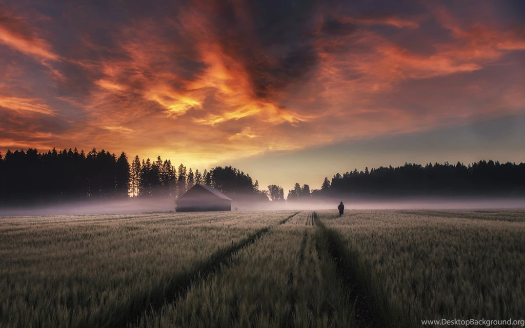 Nature, Landscape, Field, Sunrise, Trees, Farm, Sky, Clouds, Mist ...