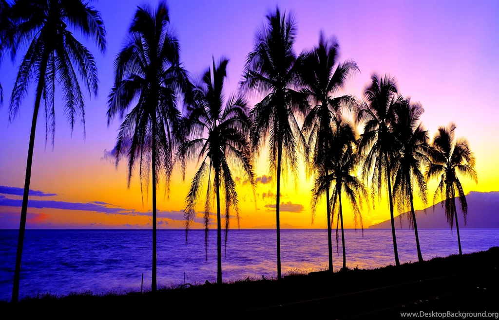 Dramatic Sunset (