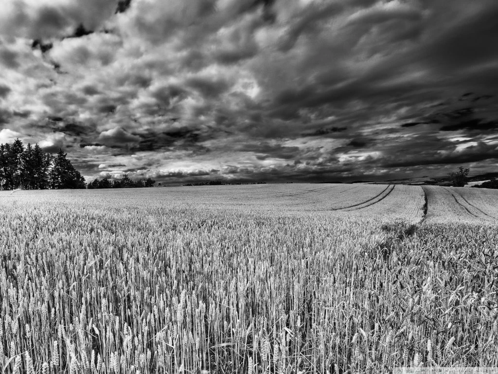 Dramatic Scene HD Desktop Wallpapers : Widescreen : Fullscreen ...