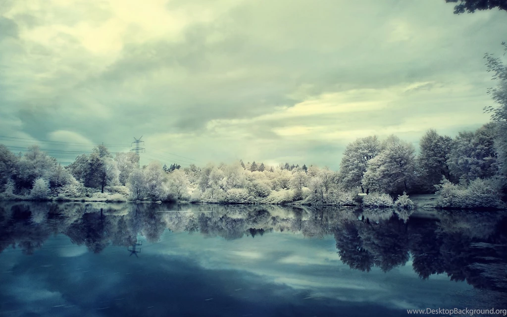 Snow Wallpapers