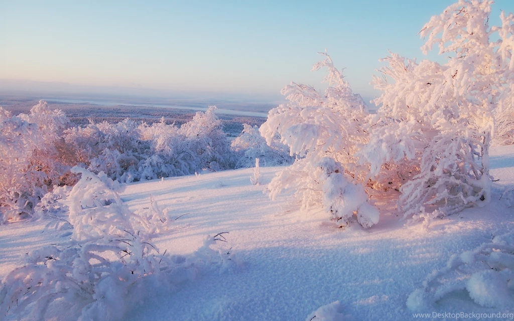 Amazing Coldest Season Winter Snowy Weather HD Photos