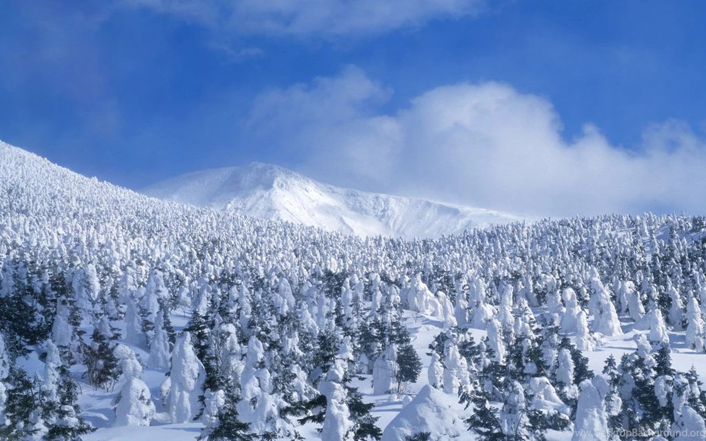 Snowy Winter Scenes 112994 Desktop Wallpapers