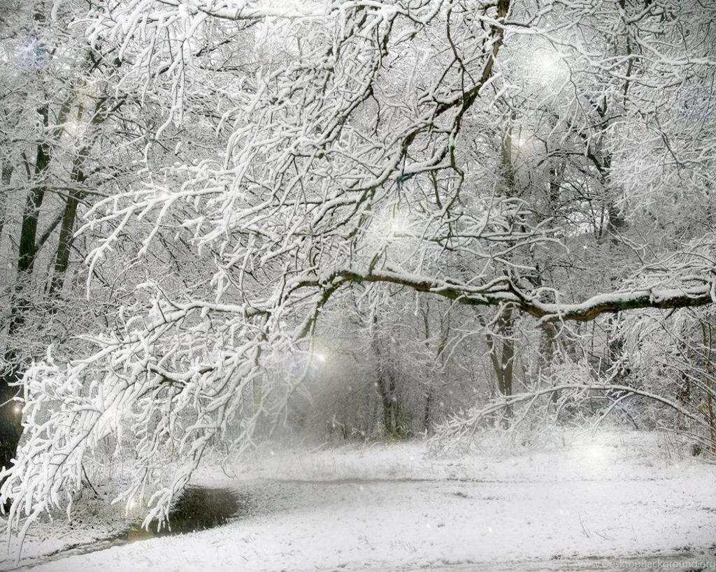 Winter Wallpapers   (