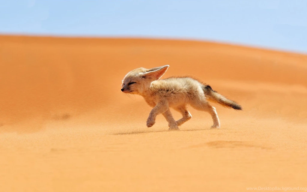 Desert HD Wallpapers & Backgrounds Desert Pics & Photos