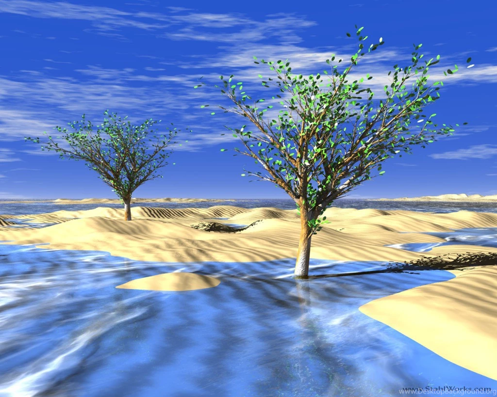 Desktop Background: Frozen Desert Trees, 1280x1024 Resolution
