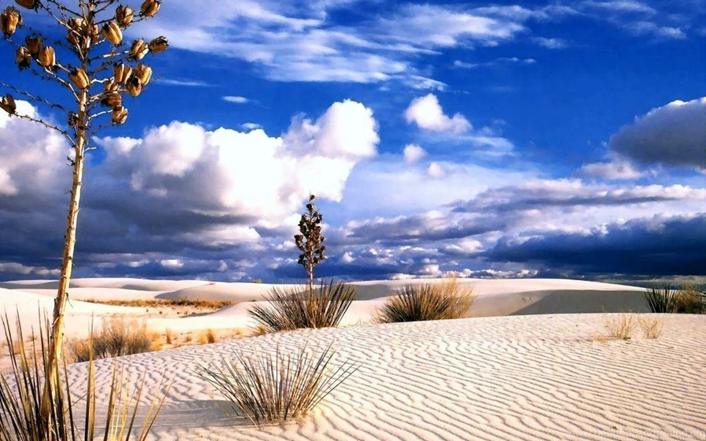 Desert During Day Wallpaper Images