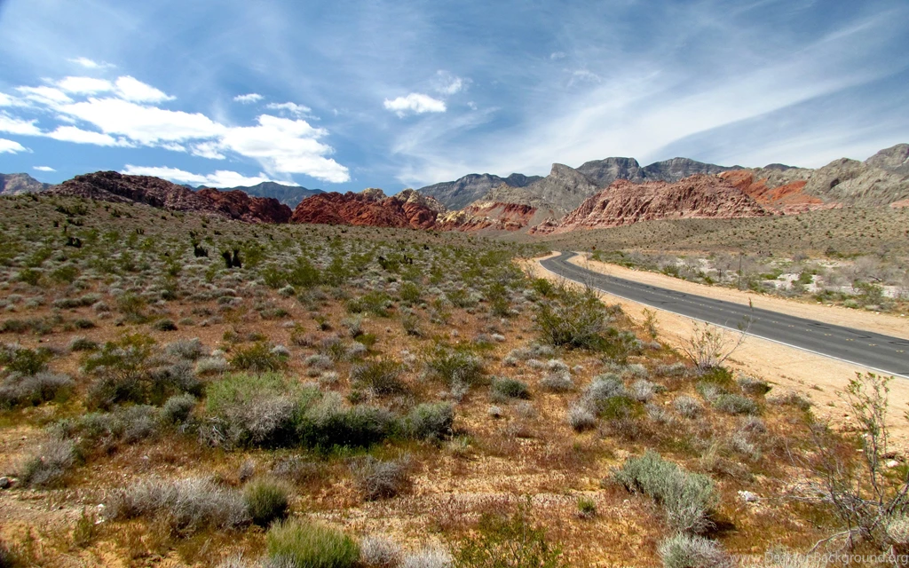 Deserts: Tree Hill Photography Sky Hot Sand Desert Sun Bright ...