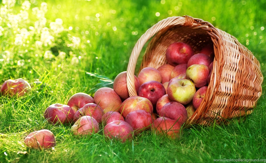 Apple Fruit Wallpapers