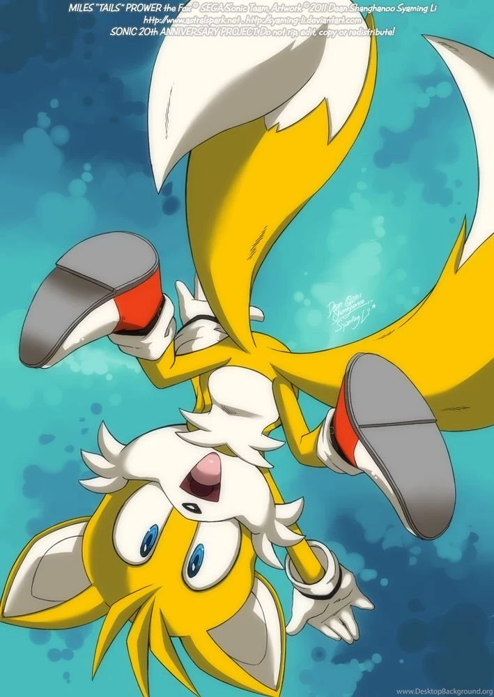 Classic Tails The Fox Prower