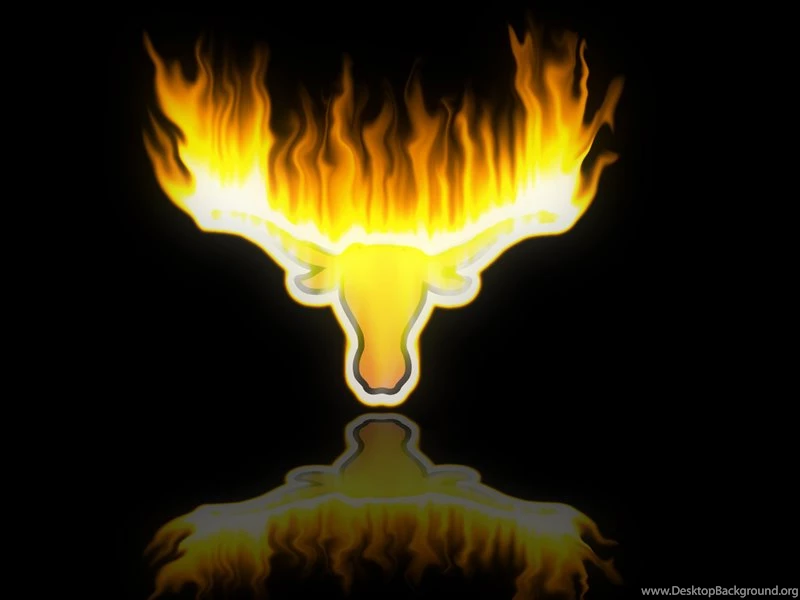 Kristen Sweet: Longhorn