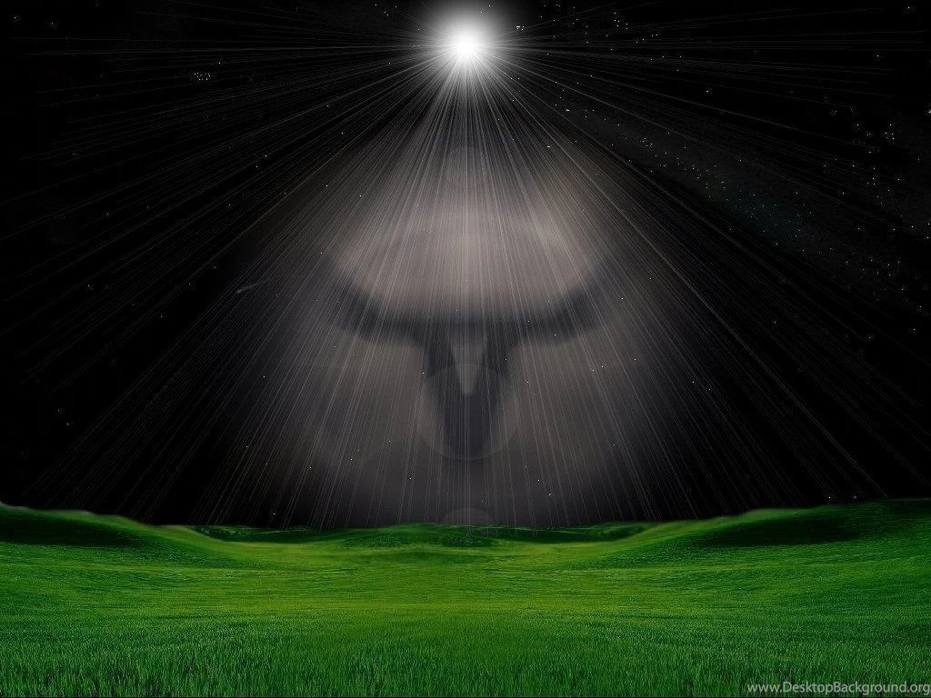 Images On Heart: LONGHORN Wallpapers