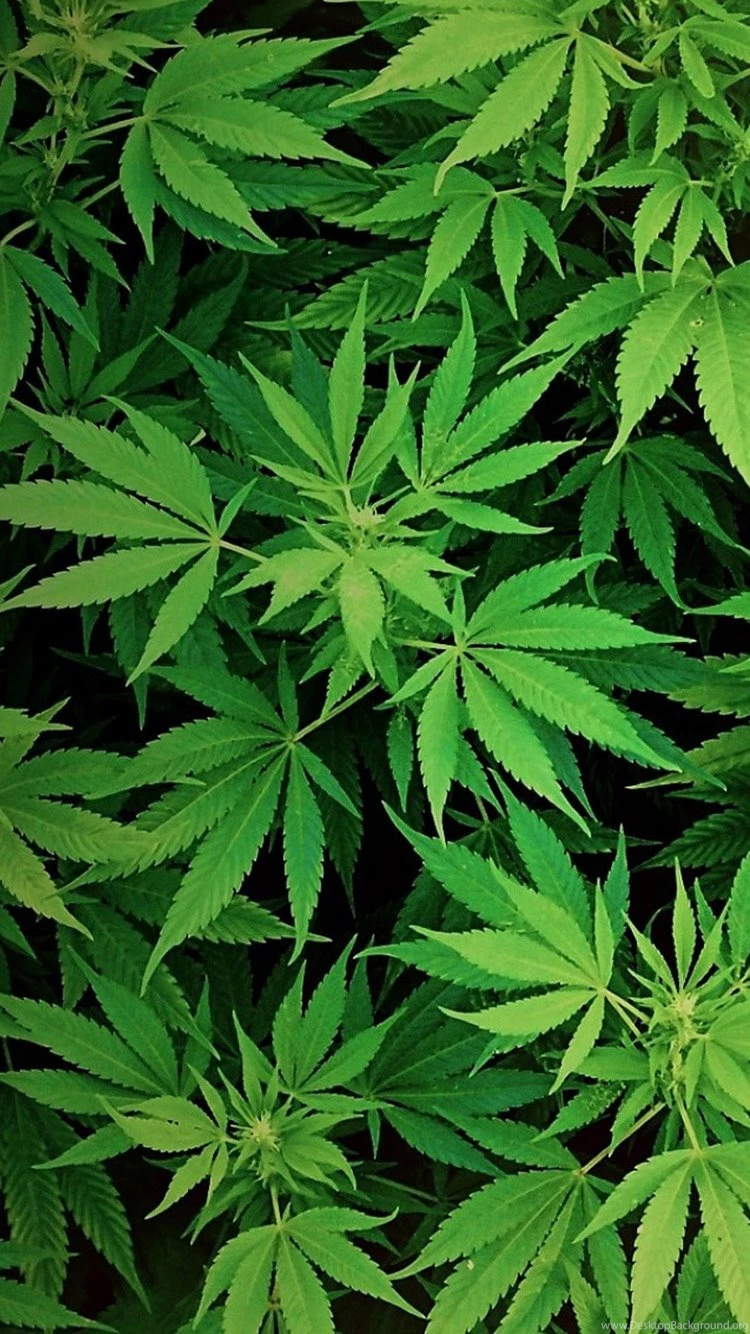 Marijuana Wallpapers iPhone Wallpapers Zone