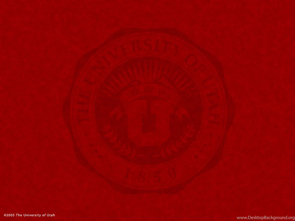 Utefans.Net